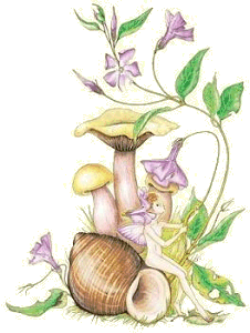 Mushrooms and Winkle Fairy Copyright© 2004 Fairies World